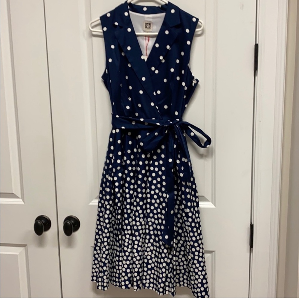 Anne Klein vintage inspired tea length dress